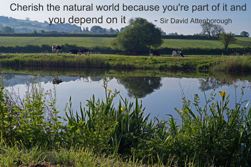 Quotes on the natural environment- Quotes Corner